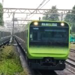 日本人の特徴「正確性」生まれるメカニズムとは