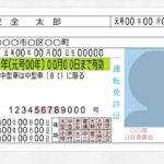 運転免許の「中型車（8t）に限る」どういう意味？